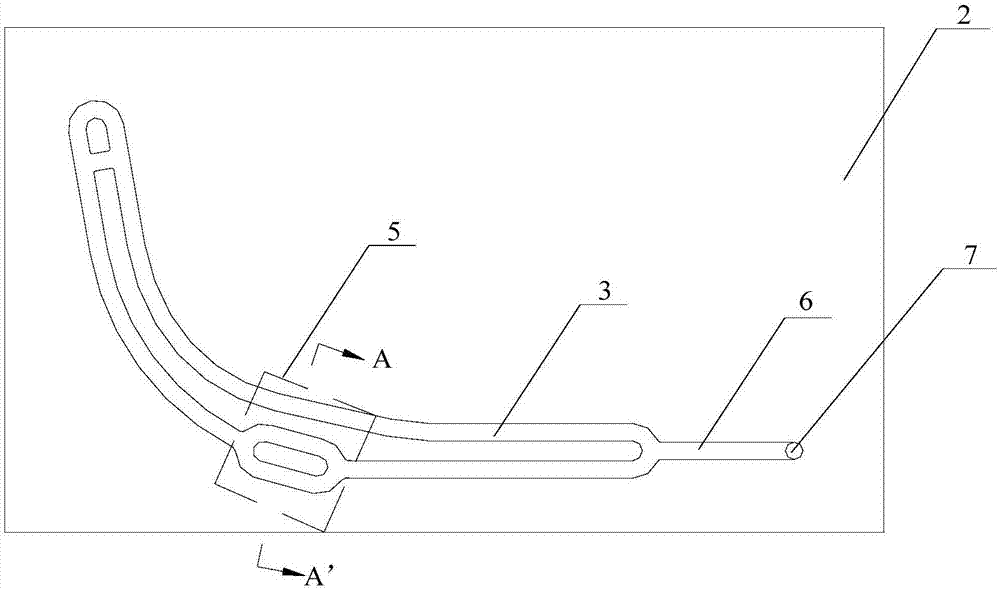 开云电竞官方网站