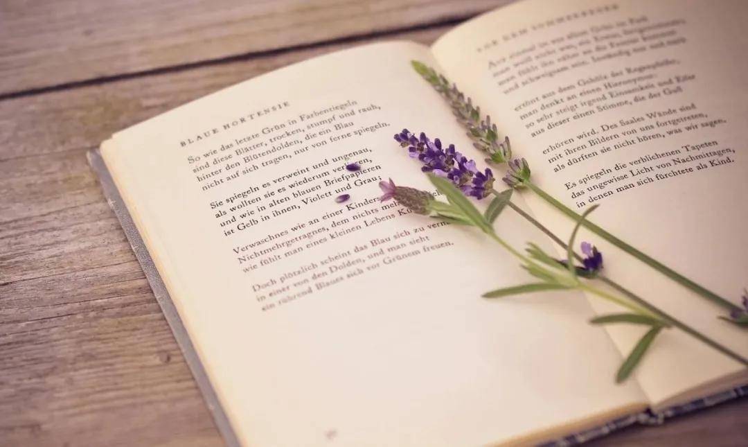 开云电竞官方网站-
学历越高素质越好是真的吗？(图2)