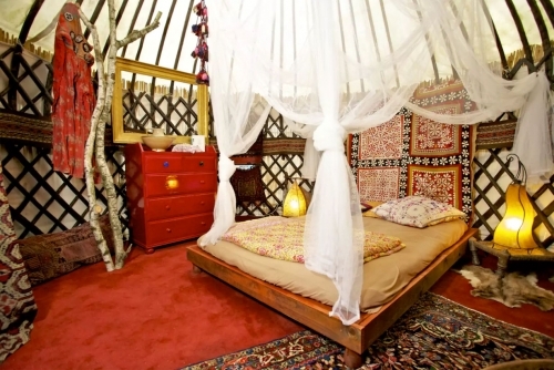 《海贼王》单行本84卷封面公布 蕾玖姐姐风姿绰约【开云电竞官网】(图3) 开云电竞