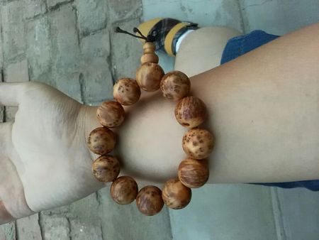 开云电竞官方网站