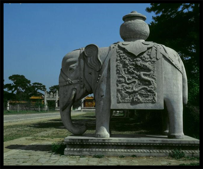 开云电竞官方网站