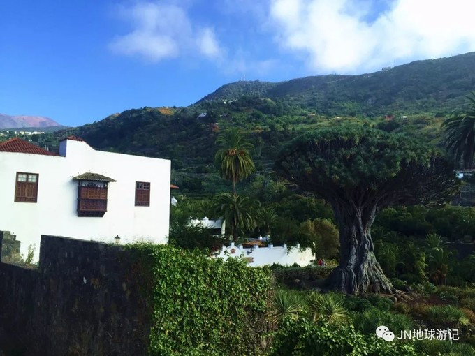 开云电竞官方网站