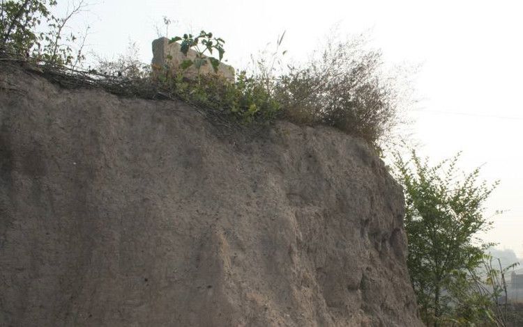 开云电竞官方网站