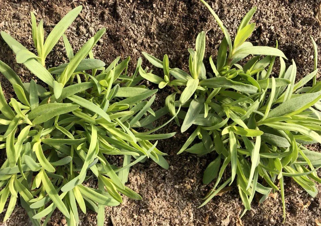 开云电竞官方网站