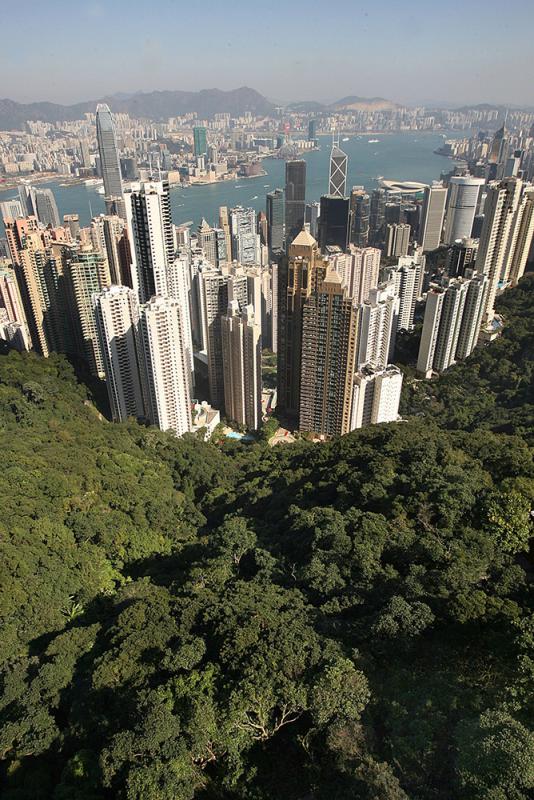 “开云电竞官方网站”《JUMP》哪部漫画完结最让人震惊 竟然没人提《死神》(图4) 开云电竞官网