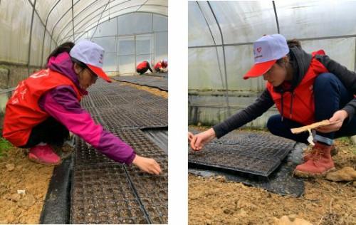 开云电竞官方网站