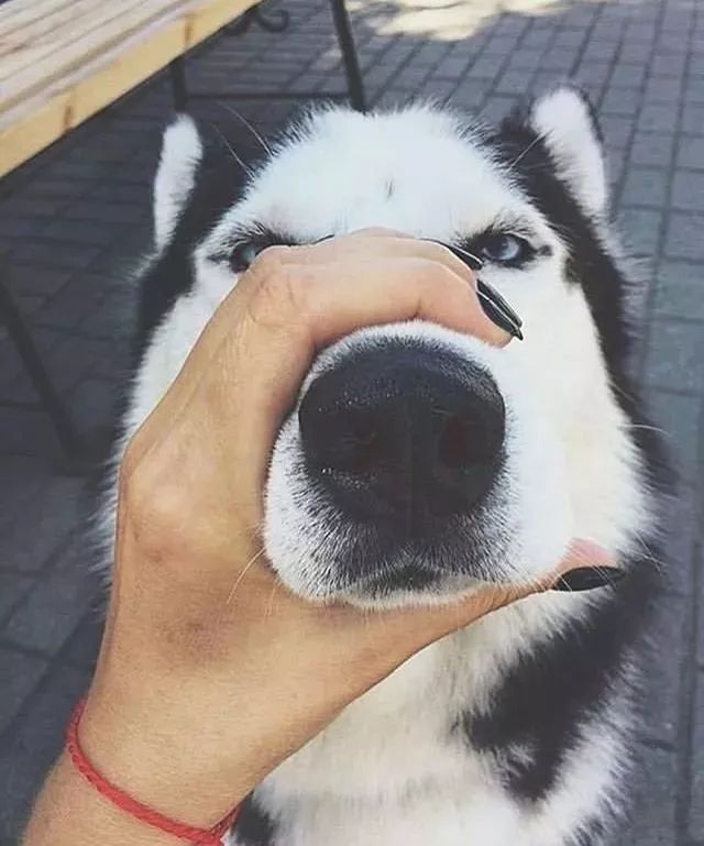 微信红包爆红:中国互联网正式进入场景时代!‘开云电竞官方网站’(图2) 开云电竞