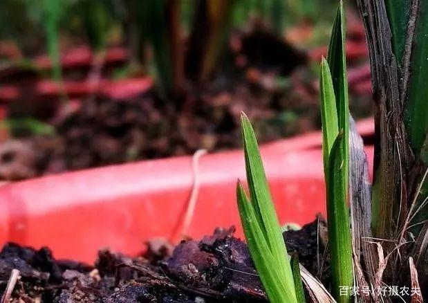 开云电竞官方网站